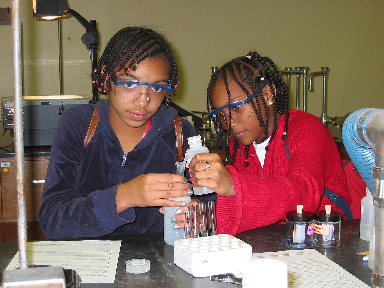 Makerspaces and 3D Printing: How Shared Fab Labs Democratize Access