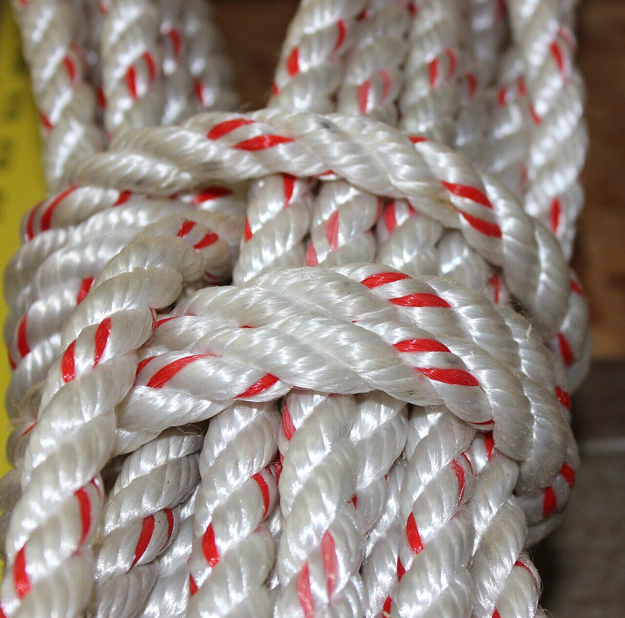 Nylon Filament: The Complete Printing Guide for PA6 and PA12