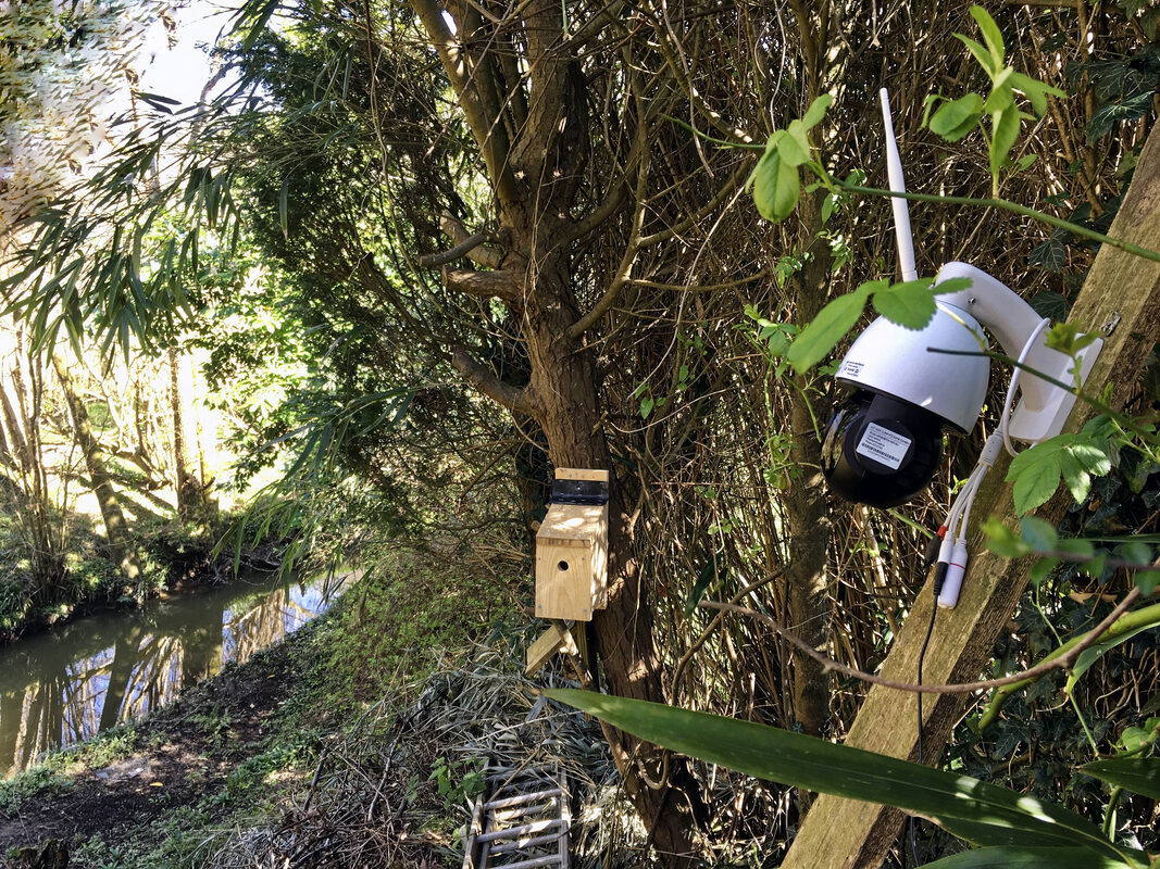 Hackers Repurpose Open-Source Thingino Camera Firmware for DIY Prusa 3D Printer Monitoring